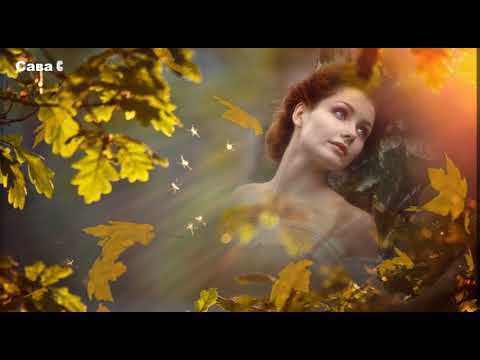 Видео: Листья желтые медленно падают. Люся Калгина.