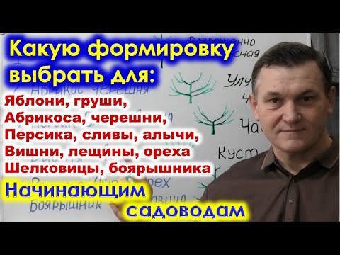 Видео: ВЫБОР ФОРМИРОВКИ КРОНЫ разных деревьев для начинающих садоводов