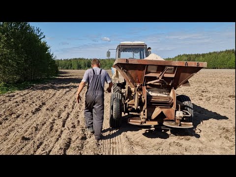 Видео: Известкование  "кислой" почвы / посев с прикатыванием / сломали трактора с Лехой. за Русь !