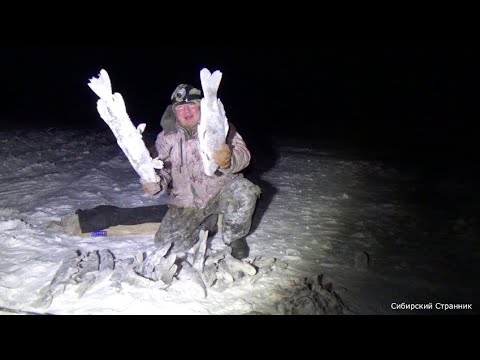 Видео: Опустили  под лед камеру. А таммм.......