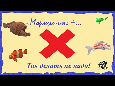 Видео: Мормышинг. Так делать не надо!