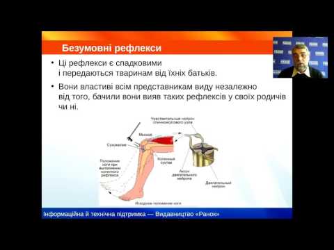 Видео: Біологія. 7 клас. Поведінка тварин та її еволюція