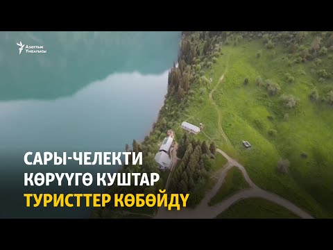 Видео: Сары-Челекти көрүүгө куштар туристтер көбөйдү