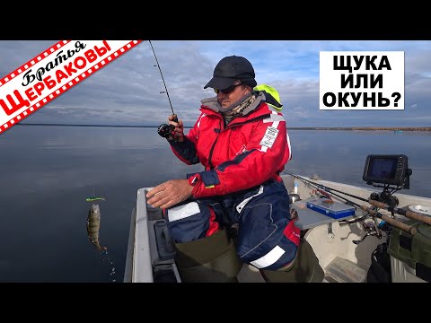 Видео: За ОКУНЕМ и ЩУКОЙ на СКАЗОЧНОЕ ОЗЕРО с лодкой. Отвесная ловля или спиннинг с крупной резиной?