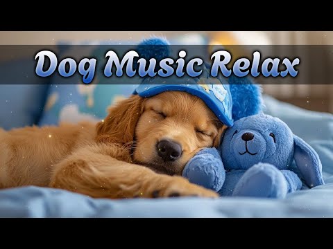 Видео: Лучшая музыка для сна собак 🐾 Антистресс и расслабление питомца 🐶 Без рекламы