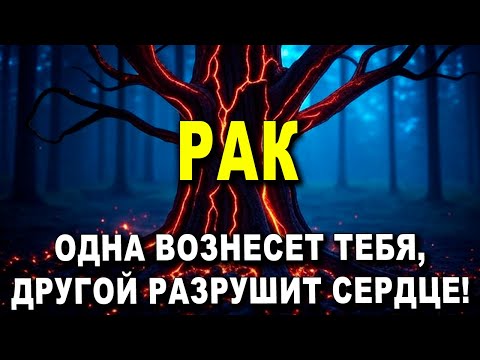 Видео: РАК ♋ СЕГОДНЯ ДВА СОБЫТИЯ! 😱 ОДНА ВОЗНЕСЕТ ТЕБЯ, ✨ДРУГОЙ РАЗРУШИТ СЕРДЦЕ! 💔