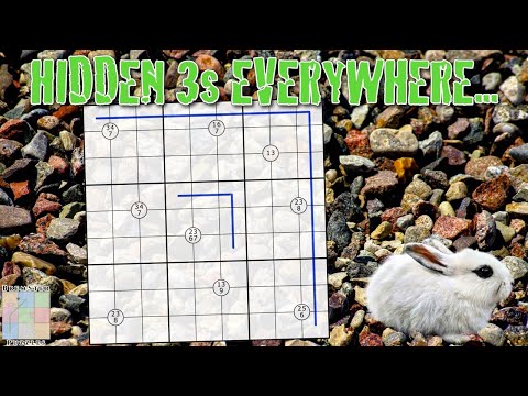 Видео: Когда ограничения судоку охватывают всю сетку.