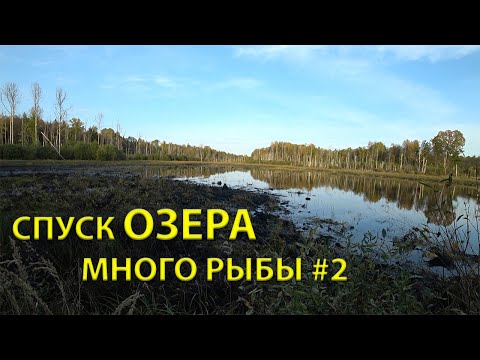 Видео: СПУСК ОЗЕРА =МНОГО РЫБЫ= съезд всех виновников торжества 2 серия
