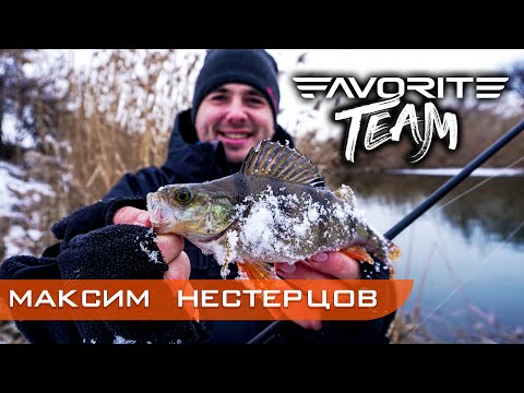 Видео: ОКУНЬ ЗИМОЙ на ультралайт. Рыбалка на спиннинг по холодной воде. Favorite Team