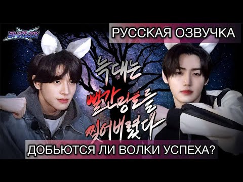 Видео: РУССКАЯ ОЗВУЧКА - ENHYPEN ('EN-O' CLOCK') EP102 - Волк растерзал красную шапочку ✂️(часть1)