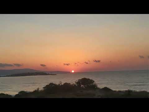 Видео: Благост