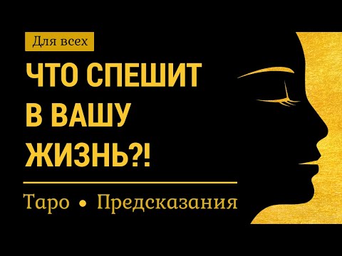 Видео: Гадание на таро на будущее: Что спешит в Вашу жизнь? Разные сферы жизни, как следует поступать...