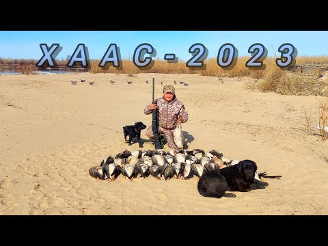Видео: Хаас 2023. Тубэ /нам улууьа./ Охота на гуся в Якутии. /Река Лена./ Goose hunting in Yakutia/