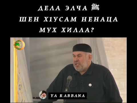 Видео: Асвад Хареханов_ Дела Элча ﷺ Ше Х1усам Ненаца Мух Хилла??