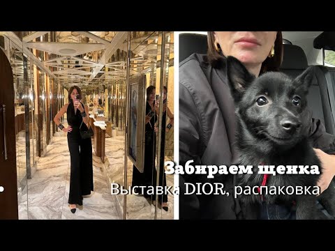 Видео: Выставка DIOR | Забираем Щенка🐶| Распаковка | Прогулка по Марбелье