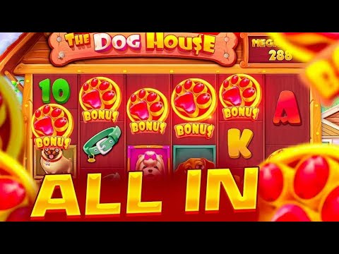 Видео: КАКОЙ The Dog House  ЛУЧШЕ?!  БОНУСКА ALL IN ЗА 800К! В СЛОТЕ The Dog House Megaways / ЗАНОС ?