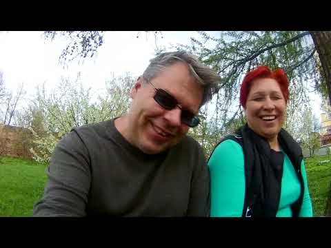 Видео: На автодоме по Золотому кольцу: мы, коты и романтика дороги 😹🚌 ЧАСТЬ 2