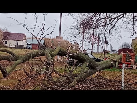 Видео: Жизнь в деревне.У нас НЕПРИЯТНОСТЬ.