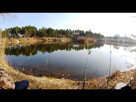Видео: РЫБАЛКА НА КАРАСЯ ВЕСНОЙ 2019. Ловля на кормаки / ДОНКА