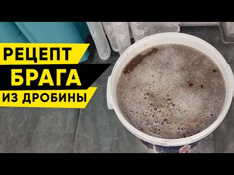 Видео: Брага на солоде после варки пива