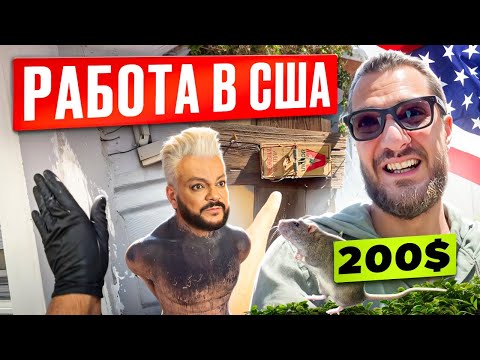 Видео: Работа в США