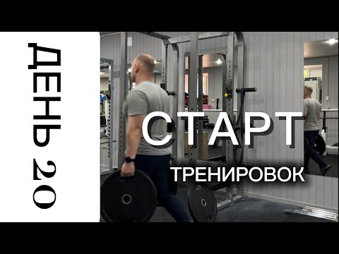 Видео: Гибридный эксперимент. День 20 | Первая тренировка после простуды | Вхожу в режим