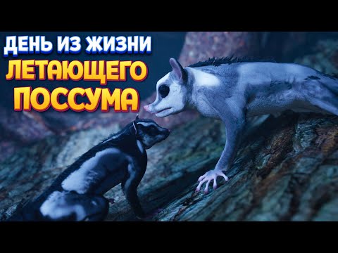 Видео: ДЕНЬ ИЗ ЖИЗНИ ЛЕТАЮЩЕГО ПОССУМА ( AWAY: The Survival Series )