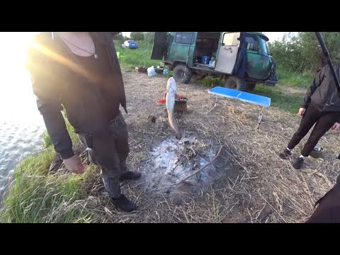 Видео: ПОЙМАЛИ РЕЧНОГО ЗМЕЯ!!!ГОТОВИМ КАЗАН-КЕБОБ!РЫБАЛКА 2020!