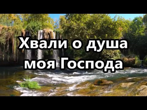 Видео: Хвали о душа моя Господа