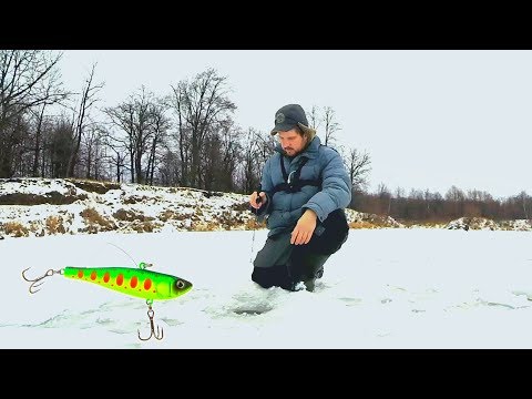 Видео: Опустил ВИБ в коряги! Ловля щуки и судака на виб (ратлин)! Заснял стаю судаков! Рыбалка 2020!