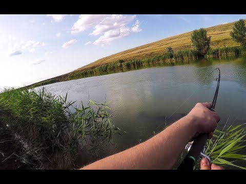 Видео: Рыбалка в Ставропольском крае. Река Егорлык. Июль 2019