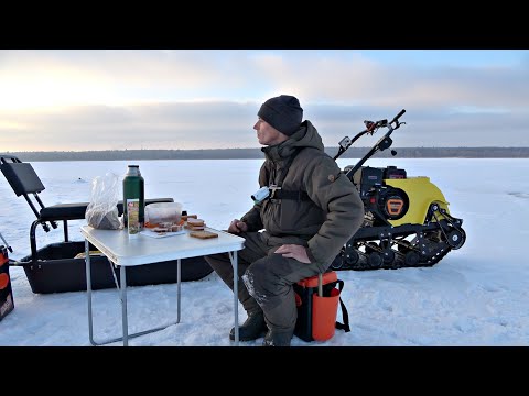 Видео: ЗАБРАЛИСЬ В КОРЯЖНИК НА МОТОСОБАКЕ И ОСТАЛИСЬ С НОЧЁВКОЙ! Рыбалка на жерлицы и мормышку 2023!
