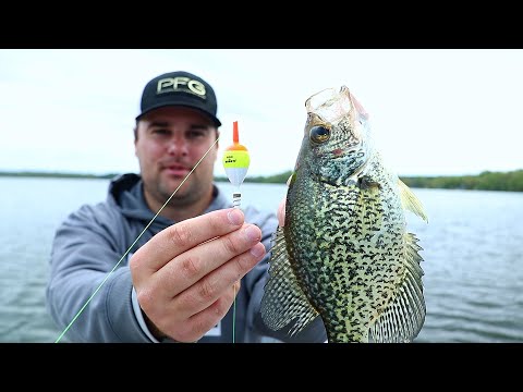 Видео: Ловля краппи на поплавок и джиг