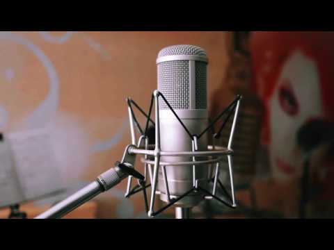 Видео: Дмитрий Шебалков - Тетради(cover)