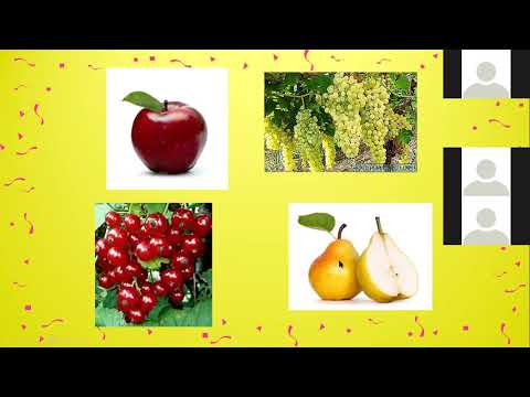 Видео: Кыргыз тили / 10-класс (орус класстар үчүн) / Аналогиялык тапшырмалар менен иштөөнүн жолдору