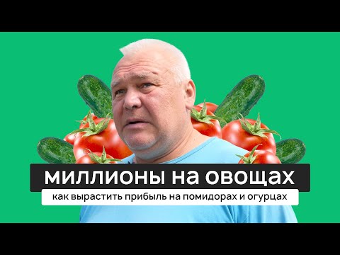 Видео: Миллионы на овощах. Как вырастить прибыль на помидорах и огурцах