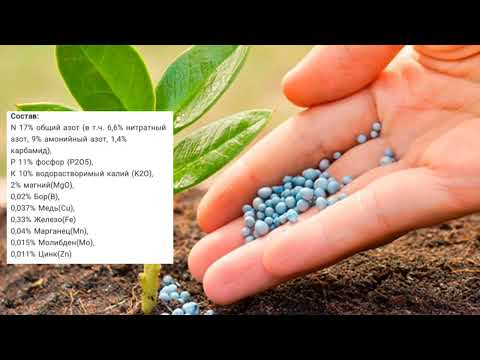 Видео: ГҮЛДЕРГЕ 6️⃣ АЙҒА ЖЕТЕТІН ТЫҢАЙТҚЫШ. ГҮЛДЕРГЕ ПАЙДАЛЫ ТЫҢАЙТҚЫШ. ГҮЛДЕР ӘЛЕМІ