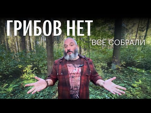 Видео: Начало октября. Лес, полностью выметенный грибниками. Михаил Вишневский