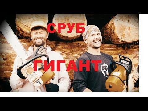 Видео: Сруб - Гигант из сибирского кедра в Екатеринбург. Начало.