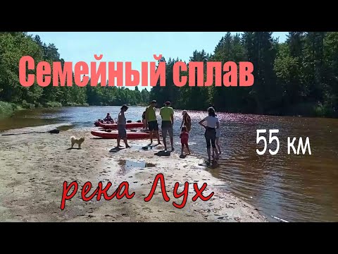 Видео: Семейный сплав. Река Лух 2022. Маршрут 55 км.