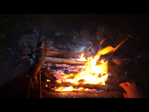 Видео: Фідерна ловля на  р. Дністер