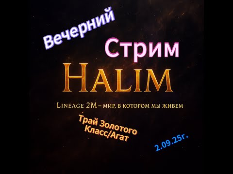 Видео: Lineage 2m | Вечерний стрим, открываем купоны