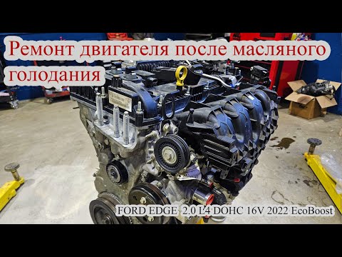 Видео: Работаю автомехаником в Канаде Калгари. Ремонт мотора. FORD EDGE  2.0 L4 DOHC 16V 2022 EcoBoost