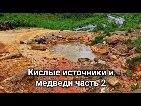 Видео: Поход на Кислые Источники к двум медведям