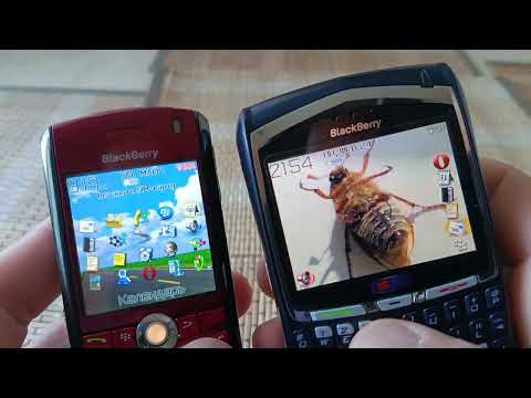 Видео: Blackberry 8100, когда деревья были большими
