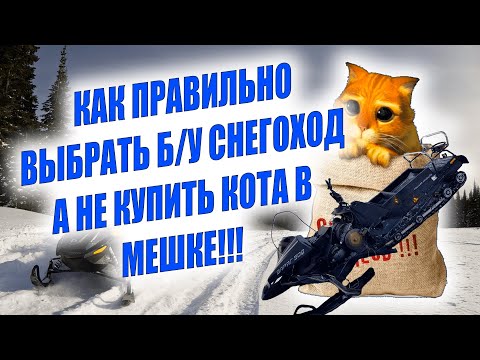 Видео: Как правильно выбрать Б.У снегоход ,и не купить КоТа в мешке ?На что обратить внимание при покупке?