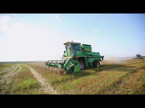 Видео: Клип про Волгоградских комбайнёров) 2016 год