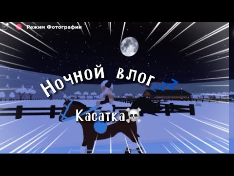 Видео: Ночной влог💤| тренировка+прогулка| Касатка | horse valley | конная долина | влог