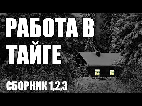 Видео: Страшные истории. Работа в ТАЙГЕ. Сборник-1,2,3.