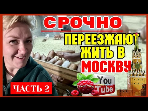 Видео: Деревенский дневник /Срочно /Переезжают в Москву часть 2 /Обзор /Леля Побируха /Ольга Быкова 